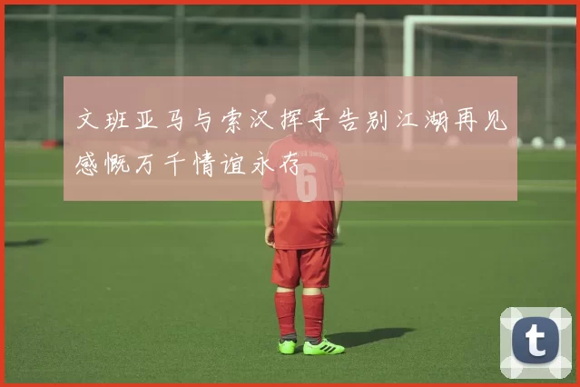 文班亚马与索汉挥手告别江湖再见感慨万千情谊永存